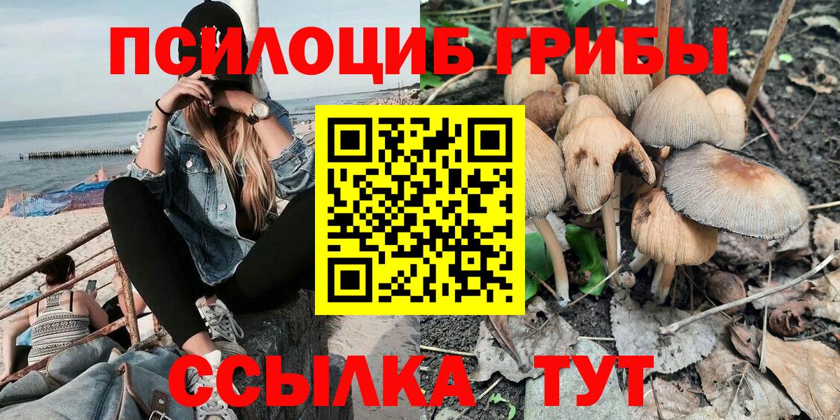 Галлюциногенные грибы GOLDEN TEACHER Лесосибирск